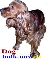 Dog����С��
